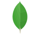 MongoDB